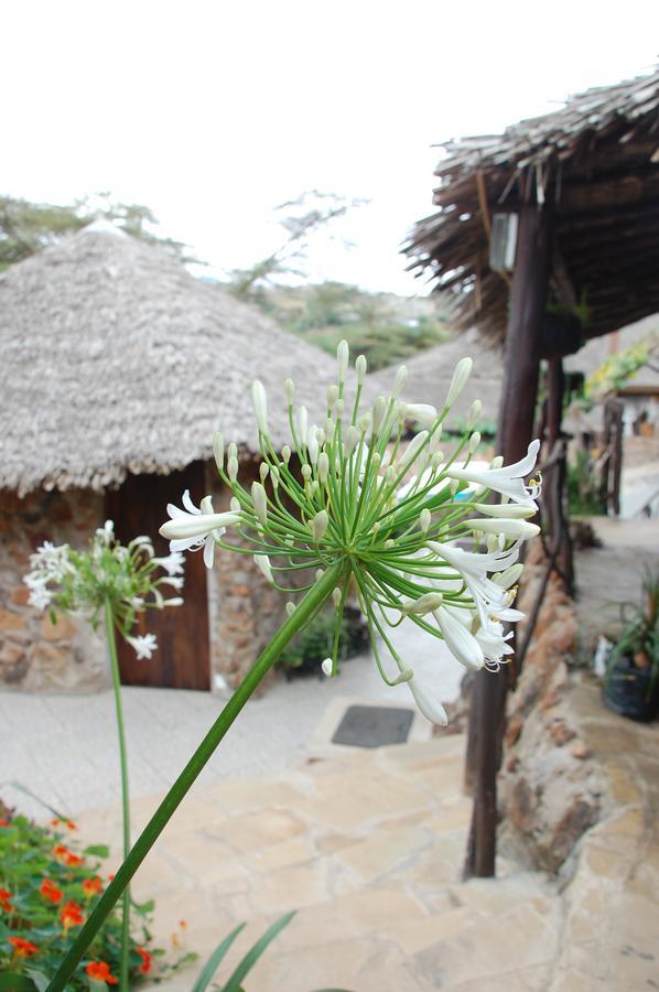 Osoita Lodge