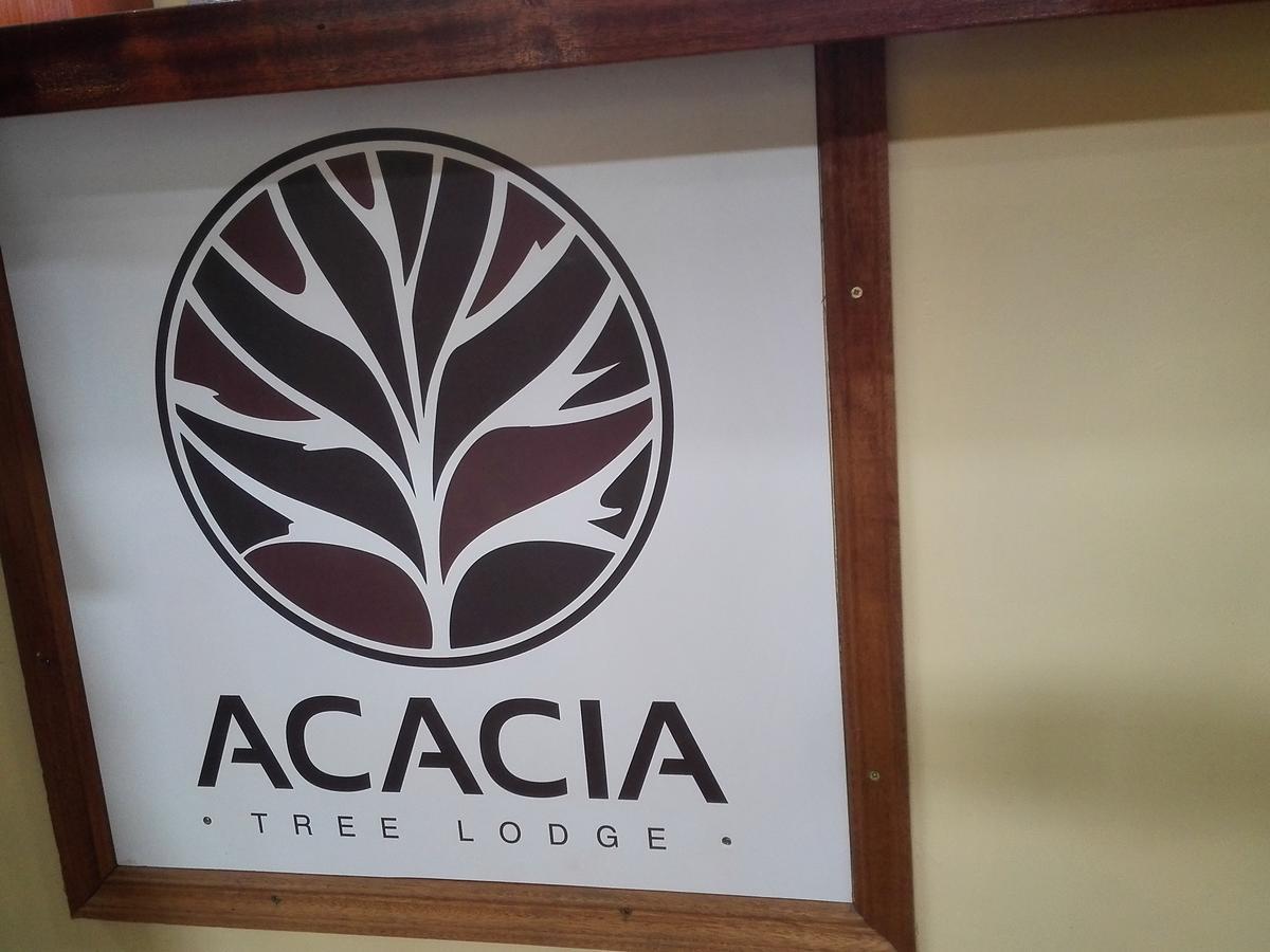 Acacia Tree 3*
