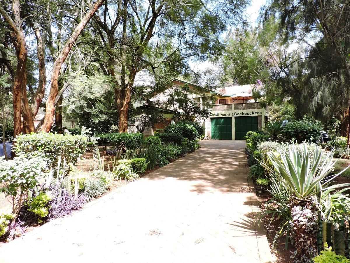 Hostel Milimani Backpackers *