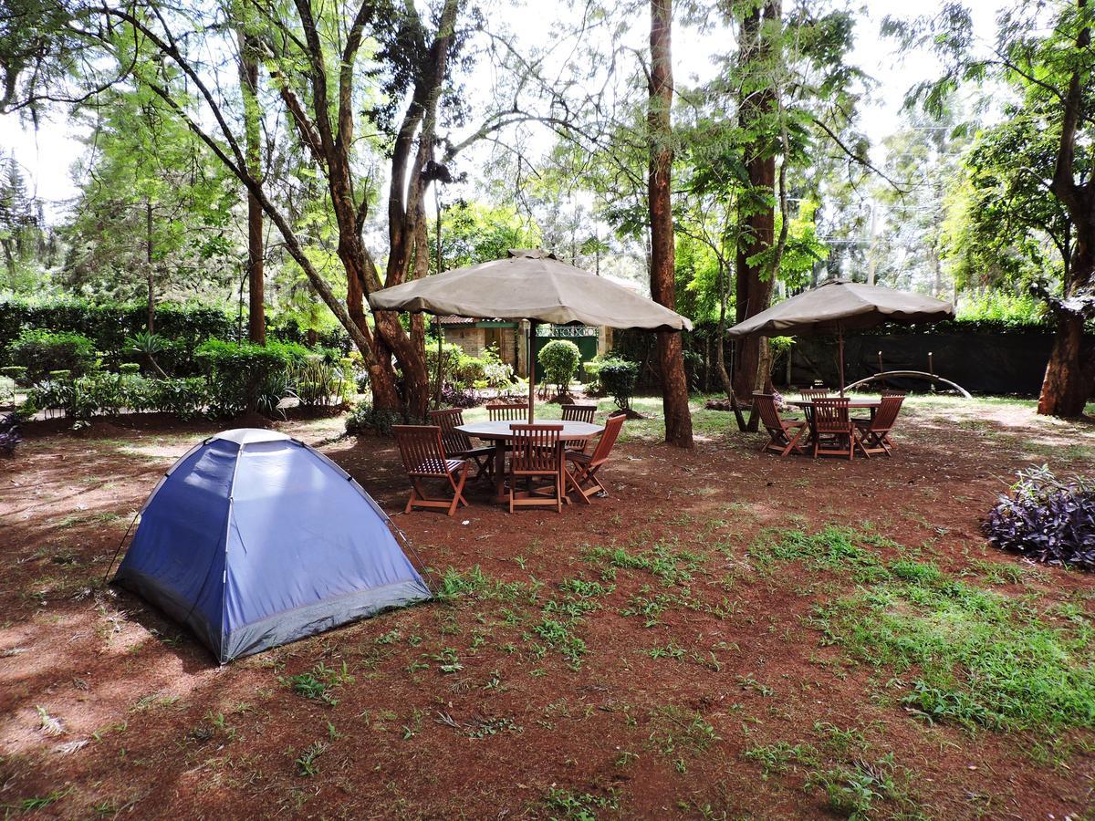 Hostel Milimani Backpackers *
