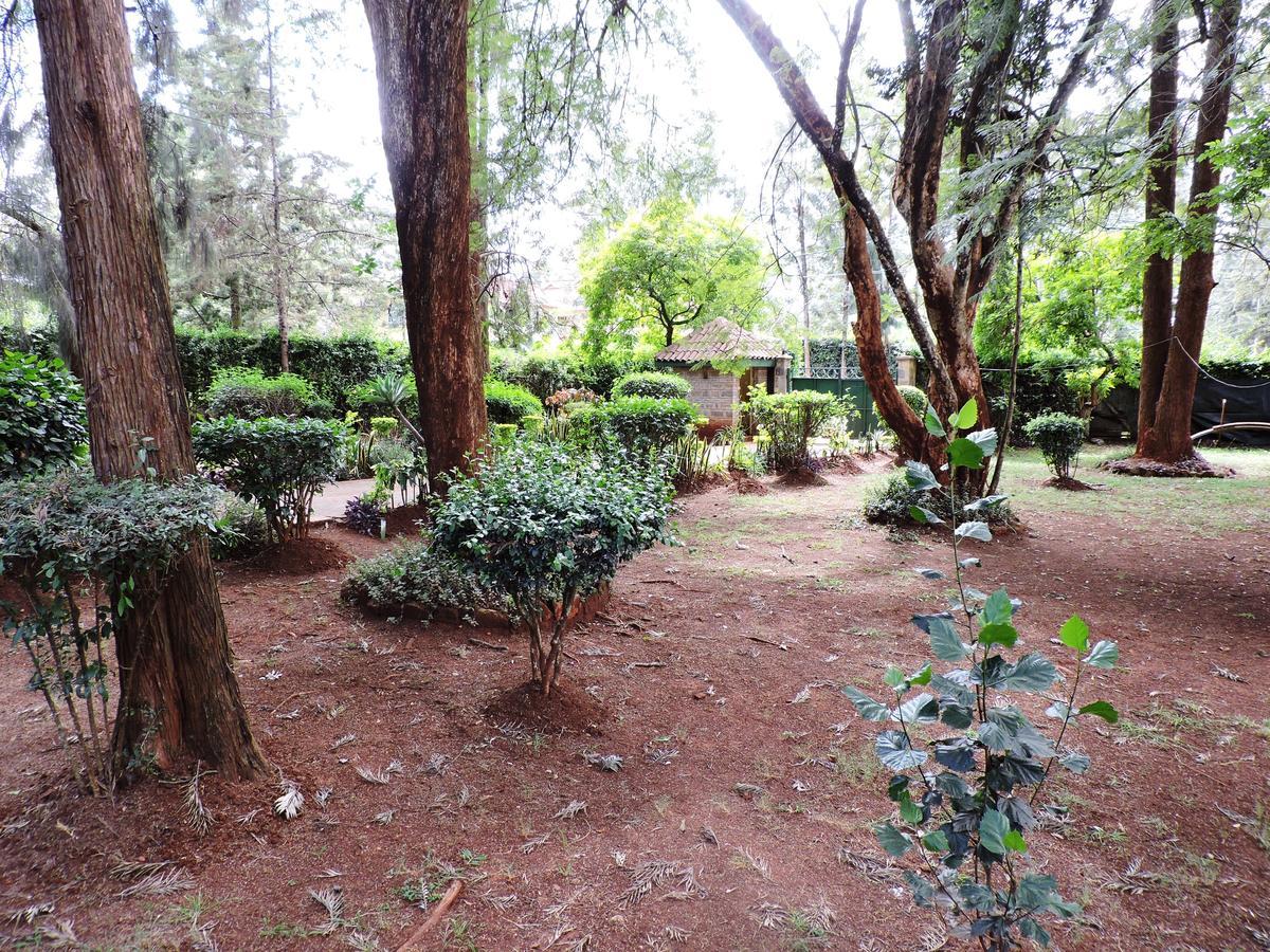 Hostel Milimani Backpackers *