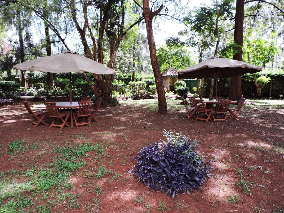 Hostel Milimani Backpackers *