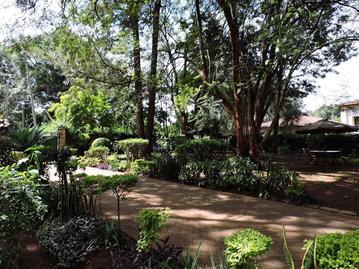 Hostel Milimani Backpackers *