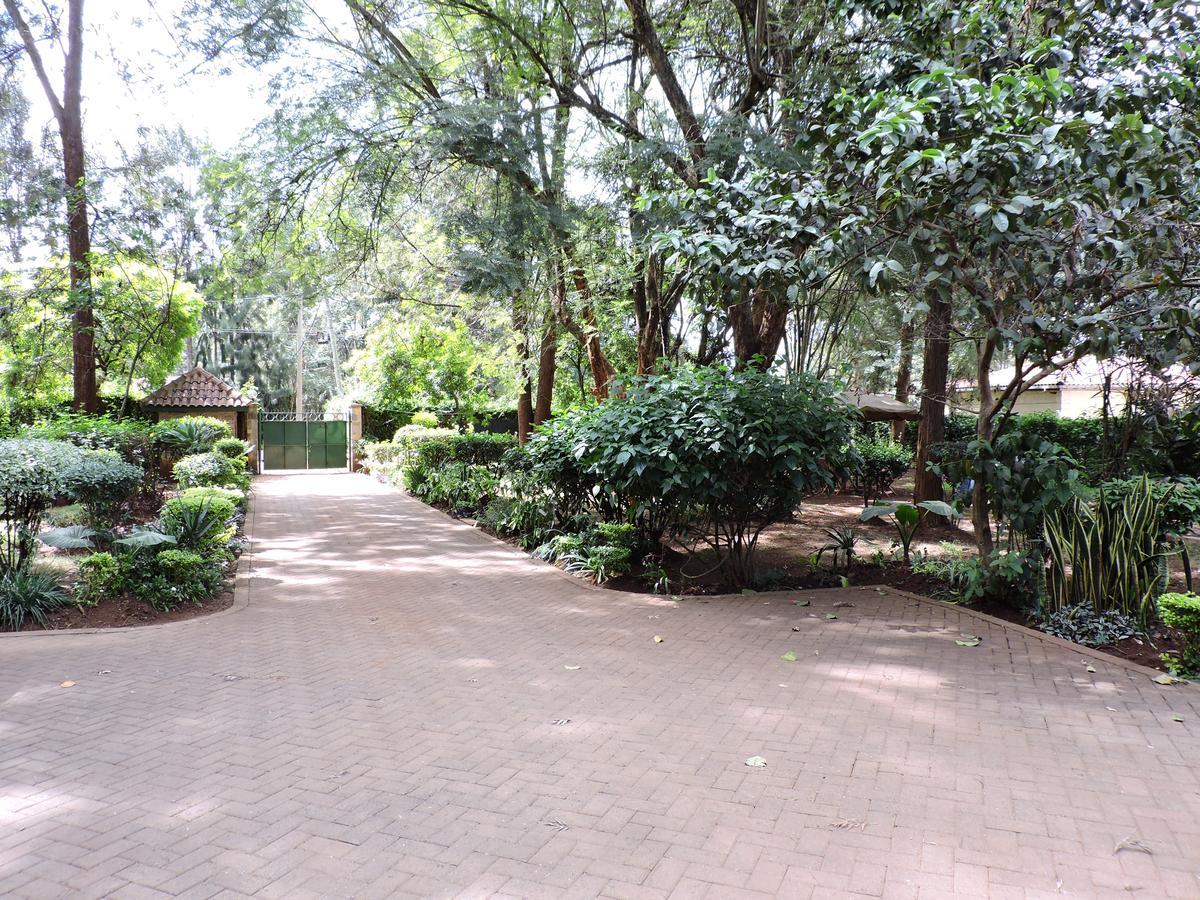 Milimani Backpackers * Nairobi