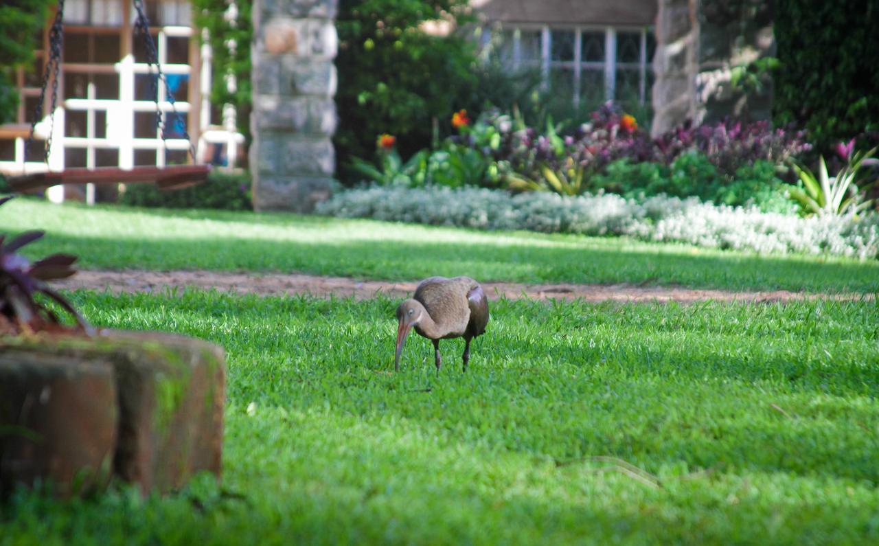 Amani Gardens 2* Nairobi