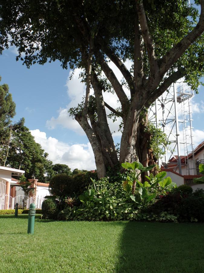 Hotel Leone Boutique 3*