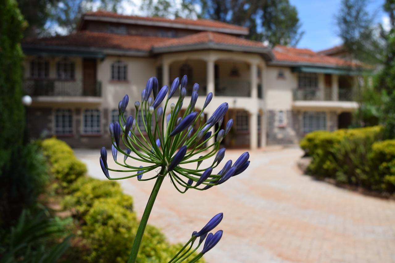 Margarita House Guest house