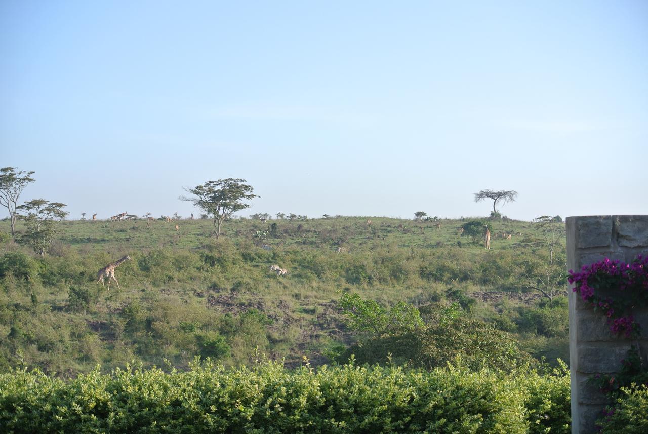 Nyati Hill