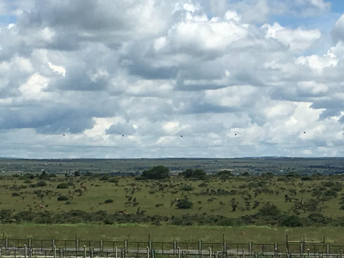 Lynwood Homestay And Tours Nairobi