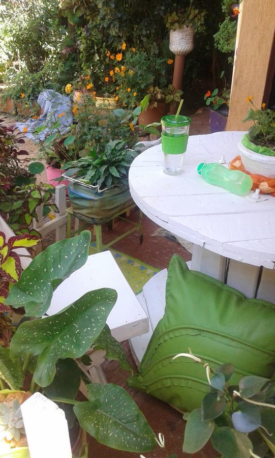 Homestay Jill's Nest
