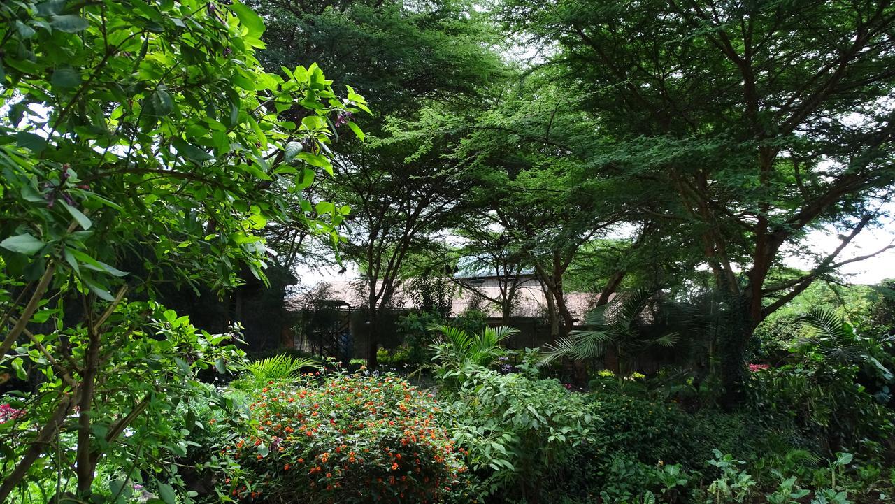 Osoita Lodge *
