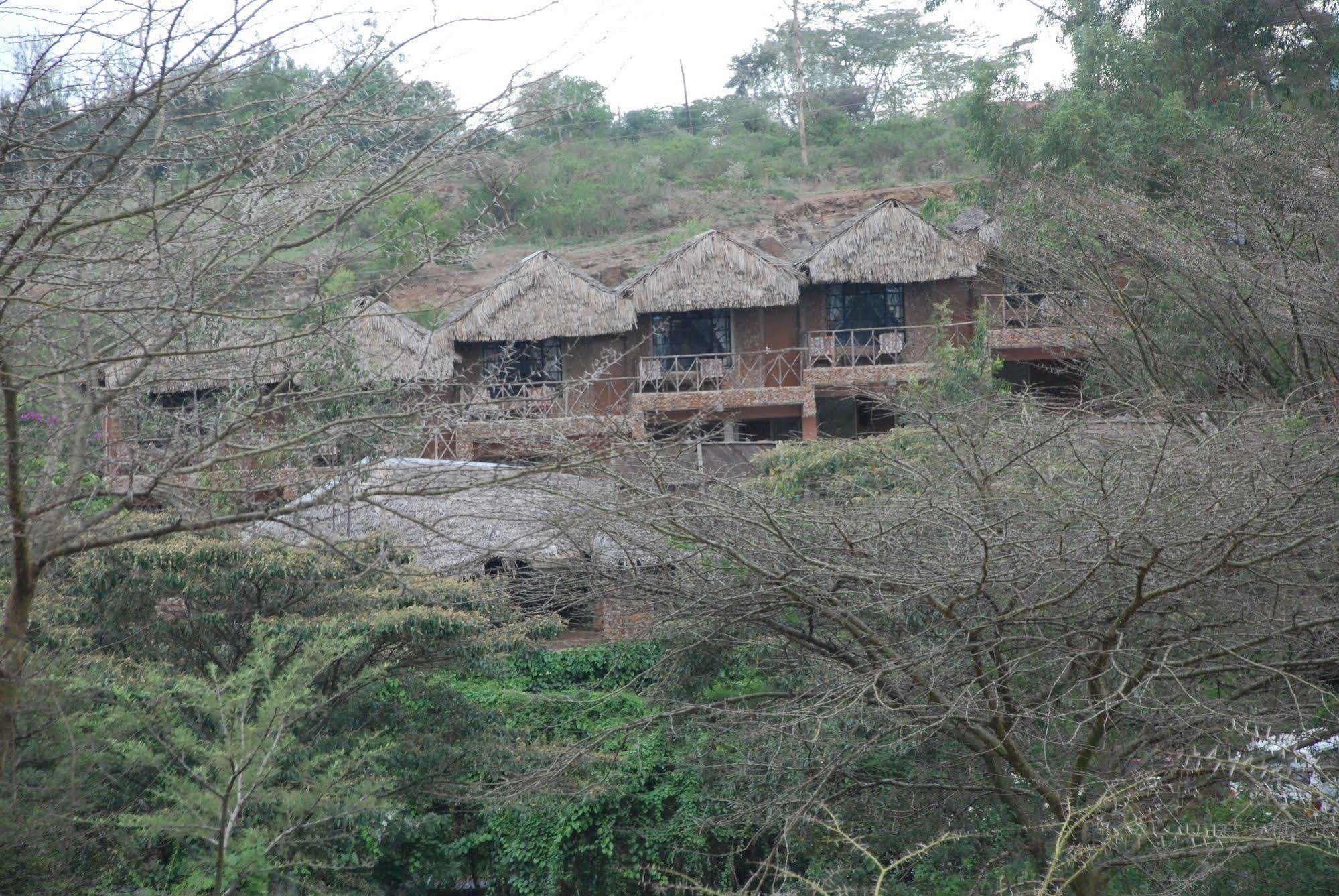 Osoita