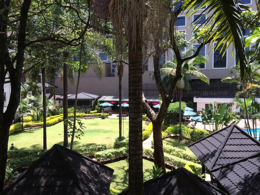 Jacaranda 3*