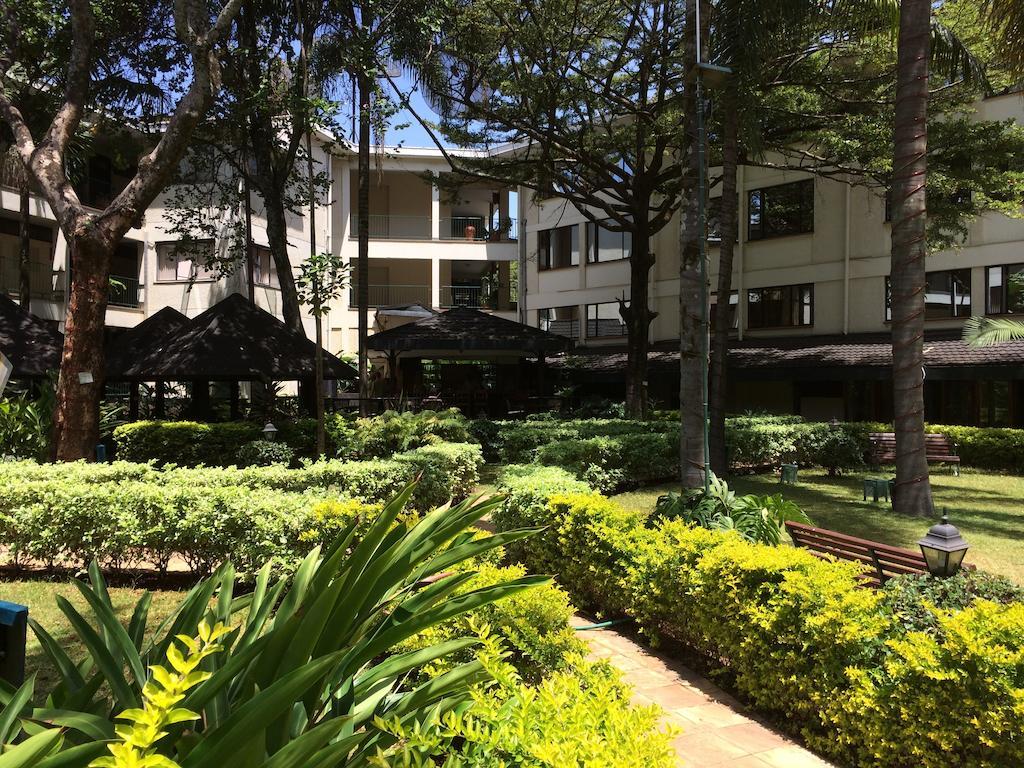 Jacaranda 3*