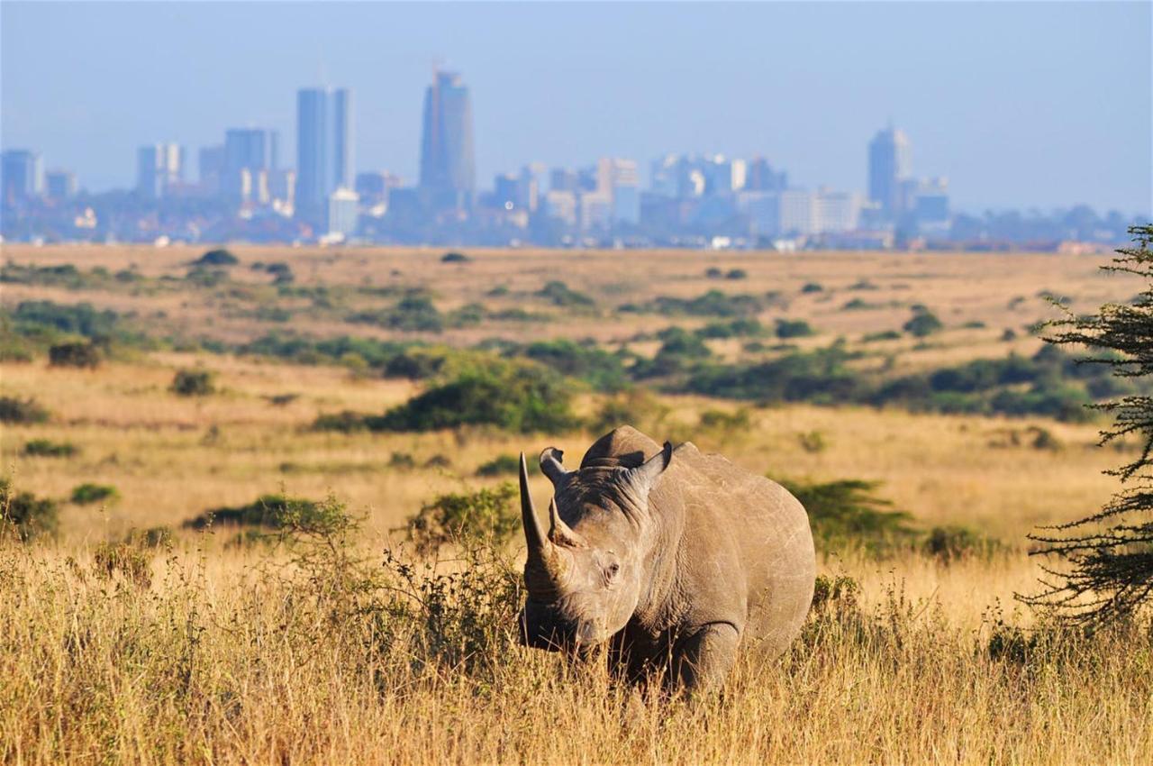 Savannah Sunset * Nairobi