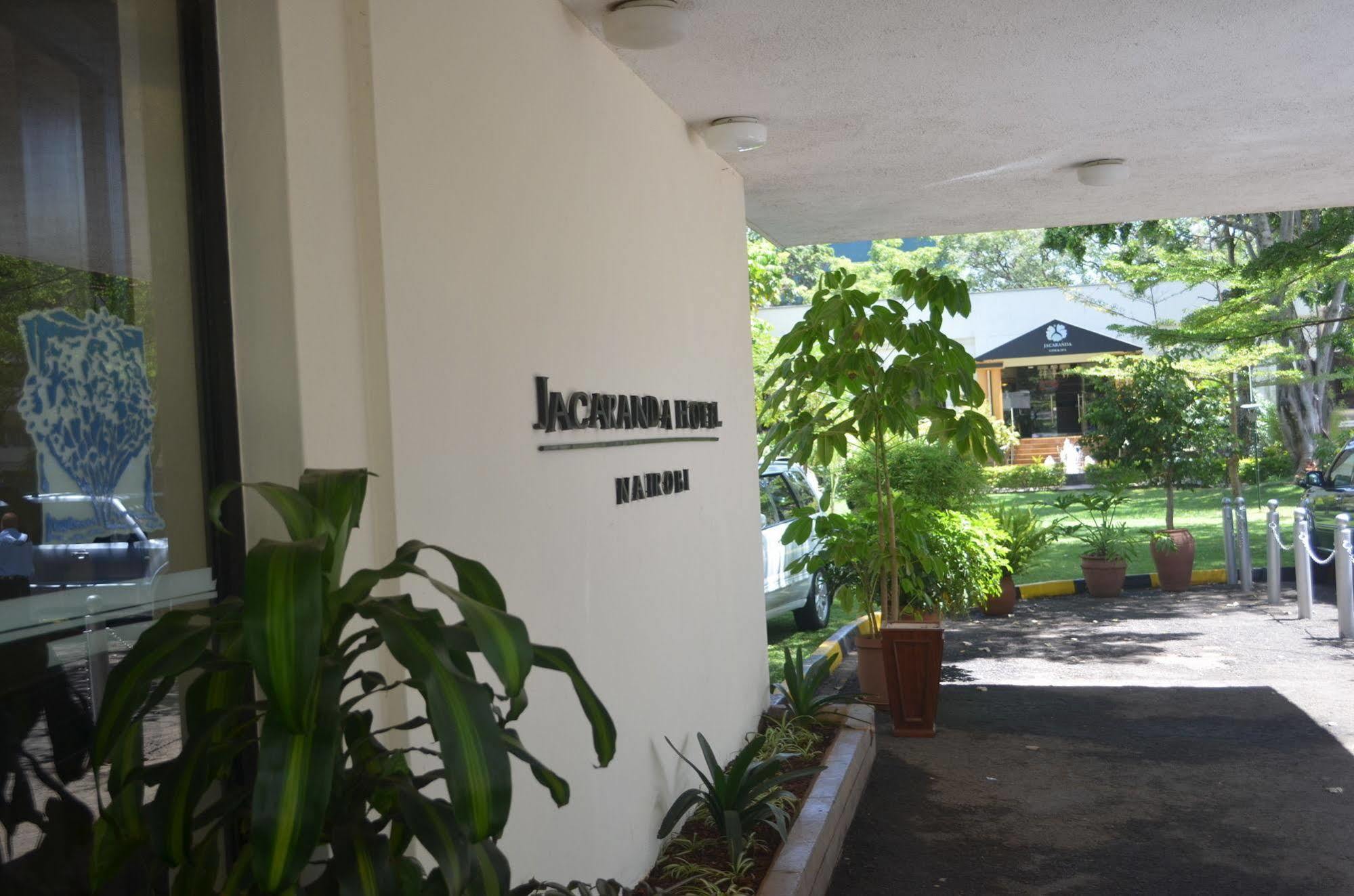 Jacaranda 3*