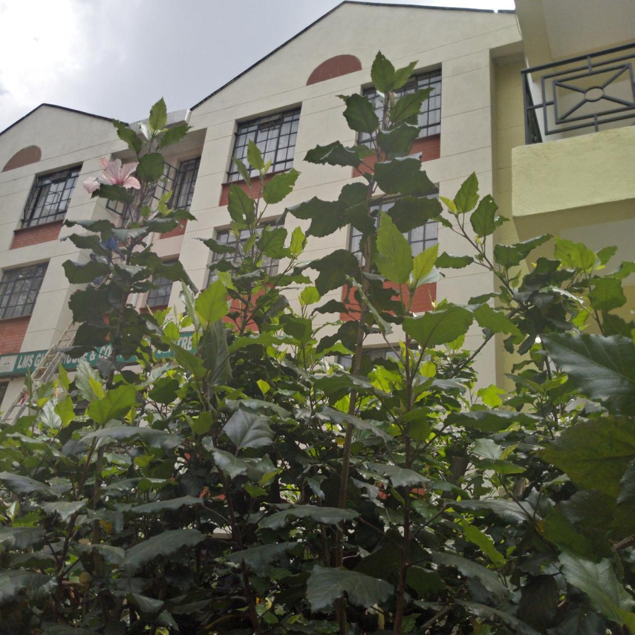 Adventist Lms & Conference Centre