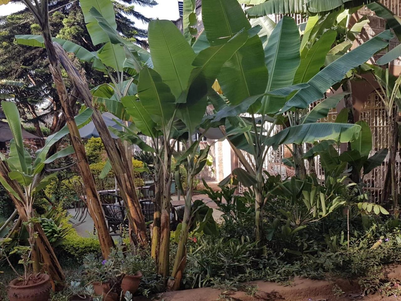 Precious Blood 3* Nairobi