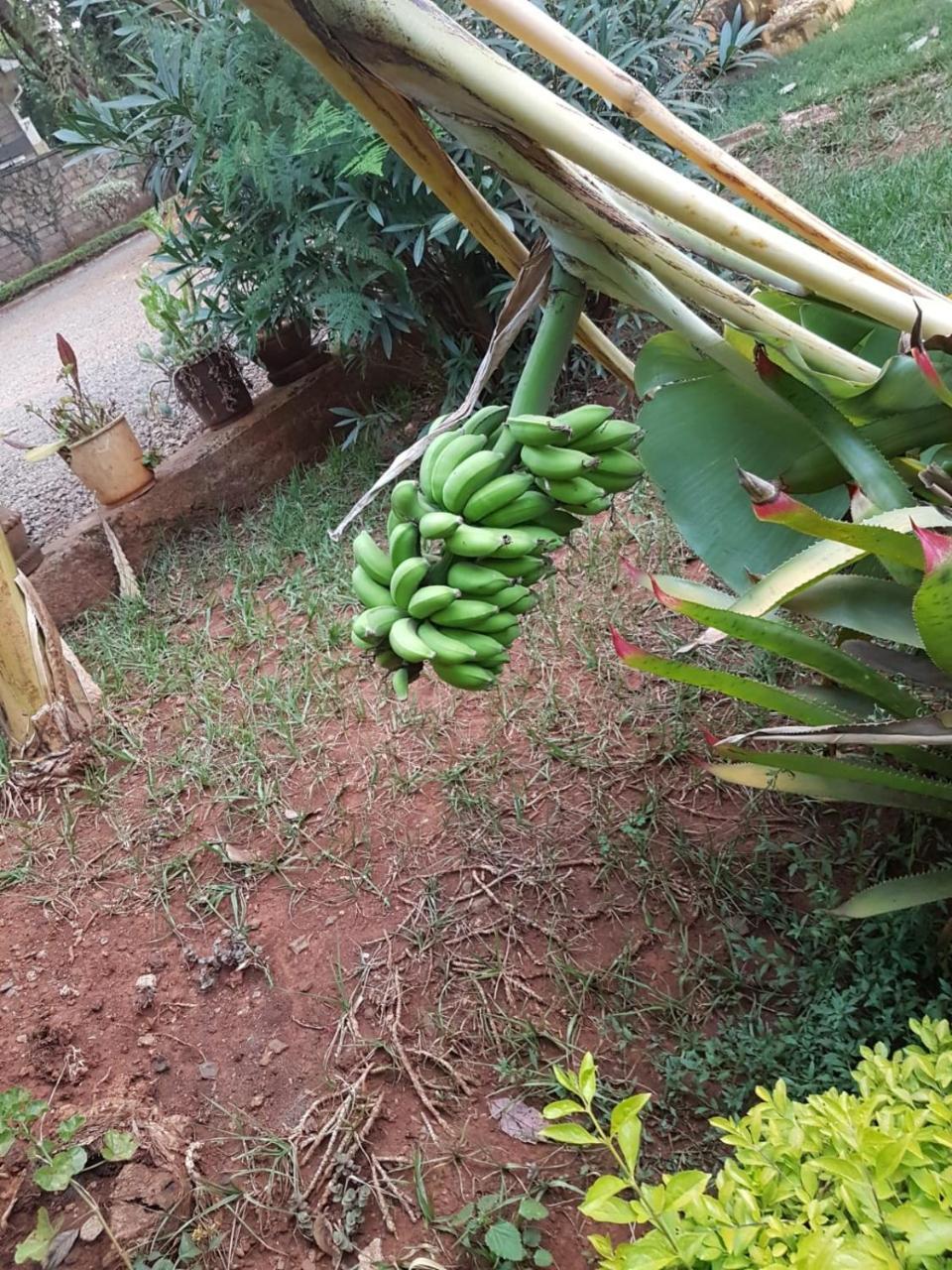 Precious Blood Bed & Breakfast Nairobi