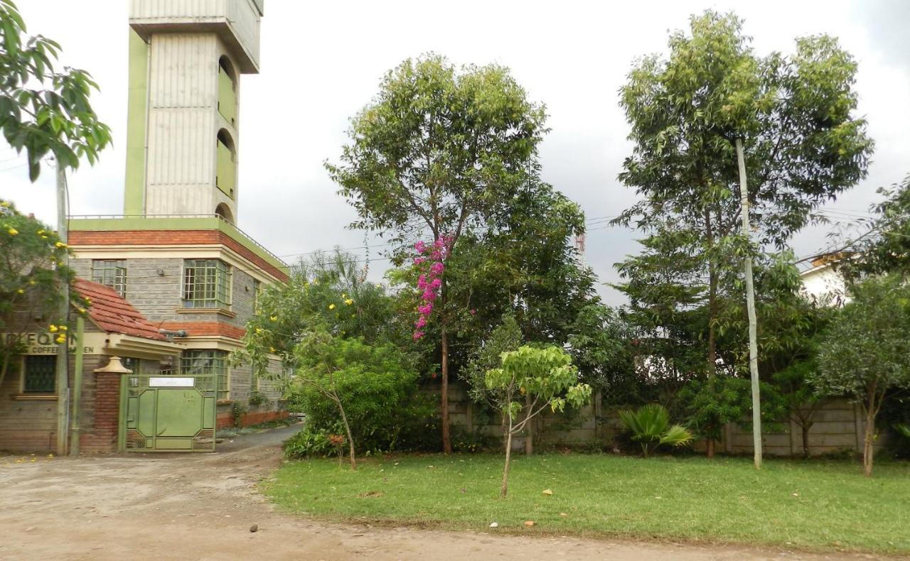 Harlequin * Nairobi