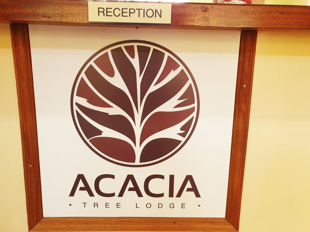 Acacia Tree 3*