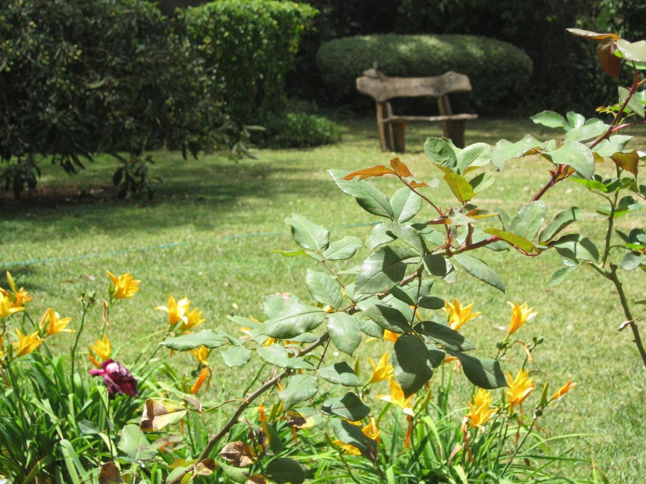 Holiday home Murangi House Nairobi