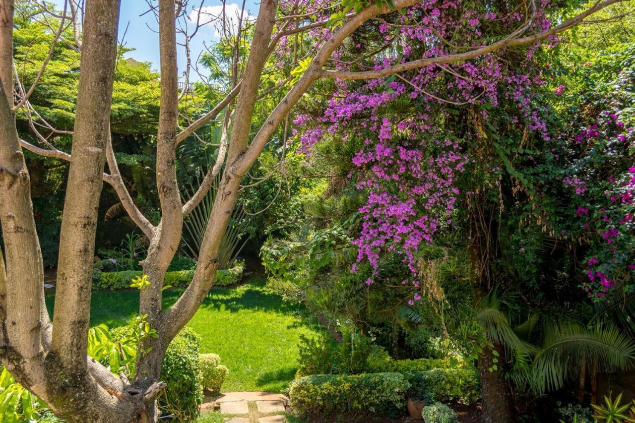 Alpha Queens Gigiri Guest house Nairobi