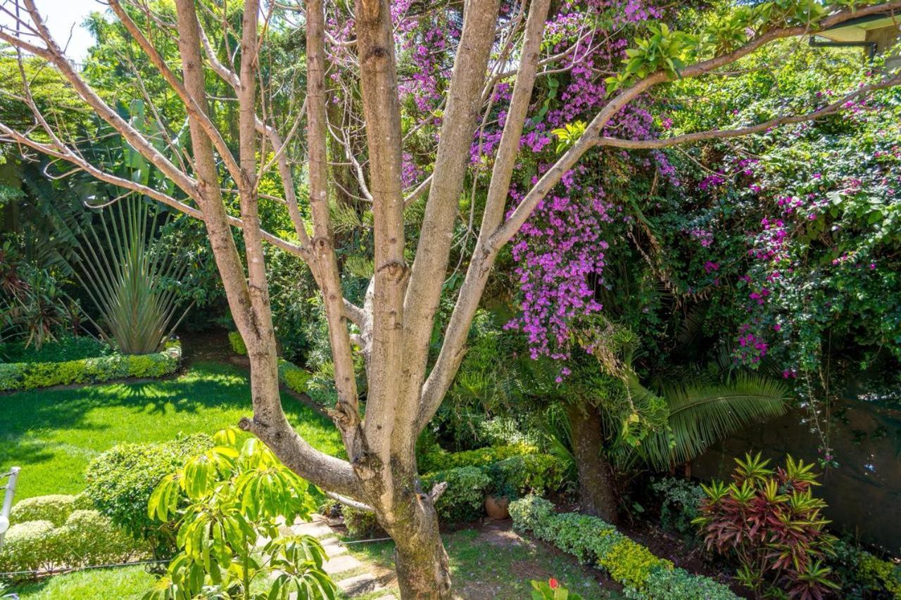 Alpha Queens Gigiri Guest house 4*