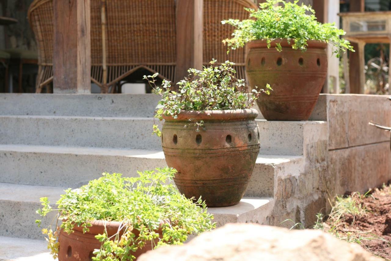 Homestay Ol Losowan House Nairobi
