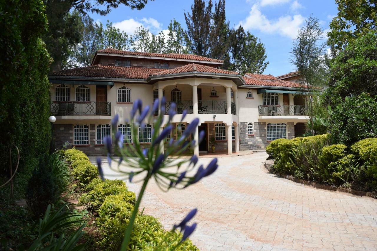 Margarita House Guest house 3*