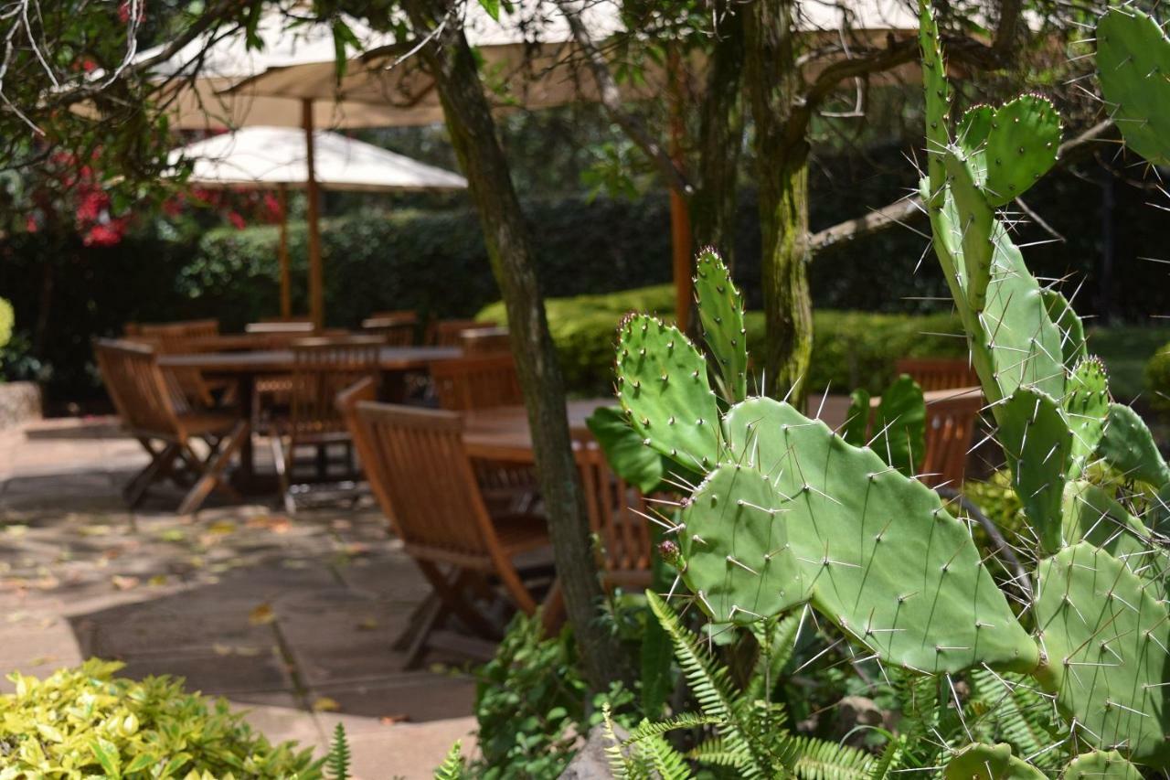 Margarita House Nairobi
