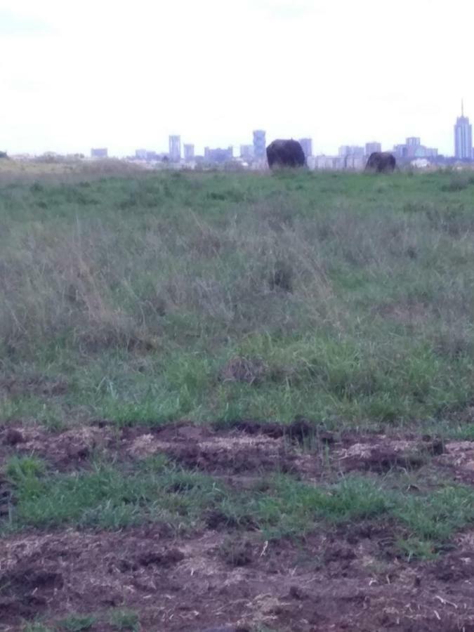 Homestay Ann Airport And Tour Nairobi