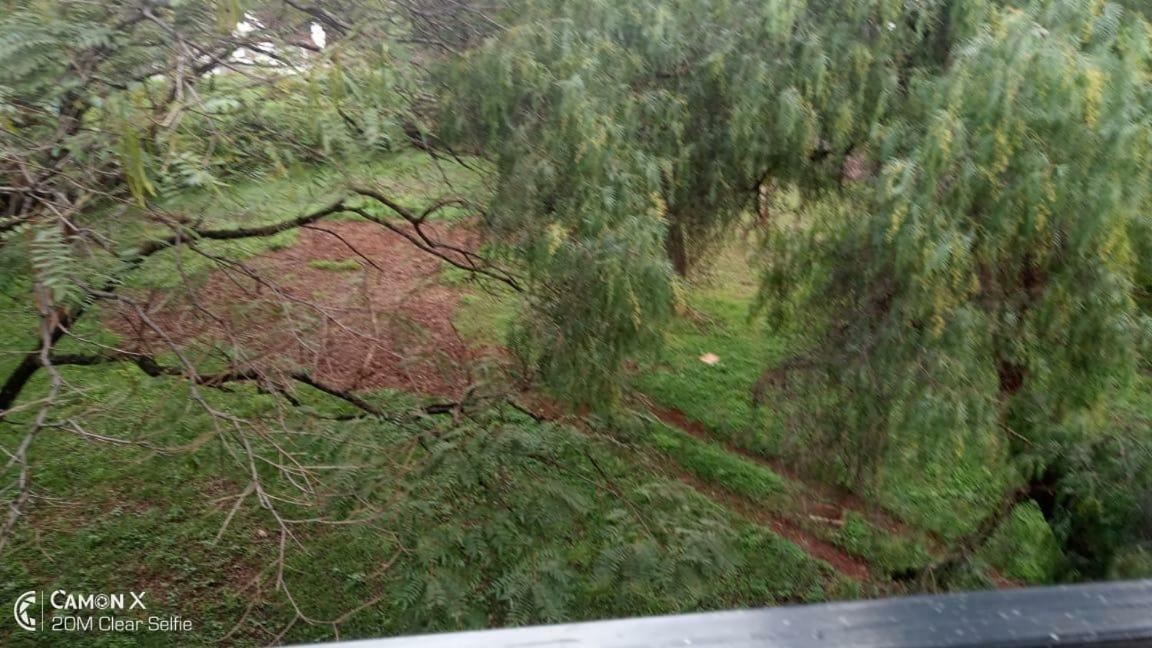 Homestay Serene Woody Haven Nairobi