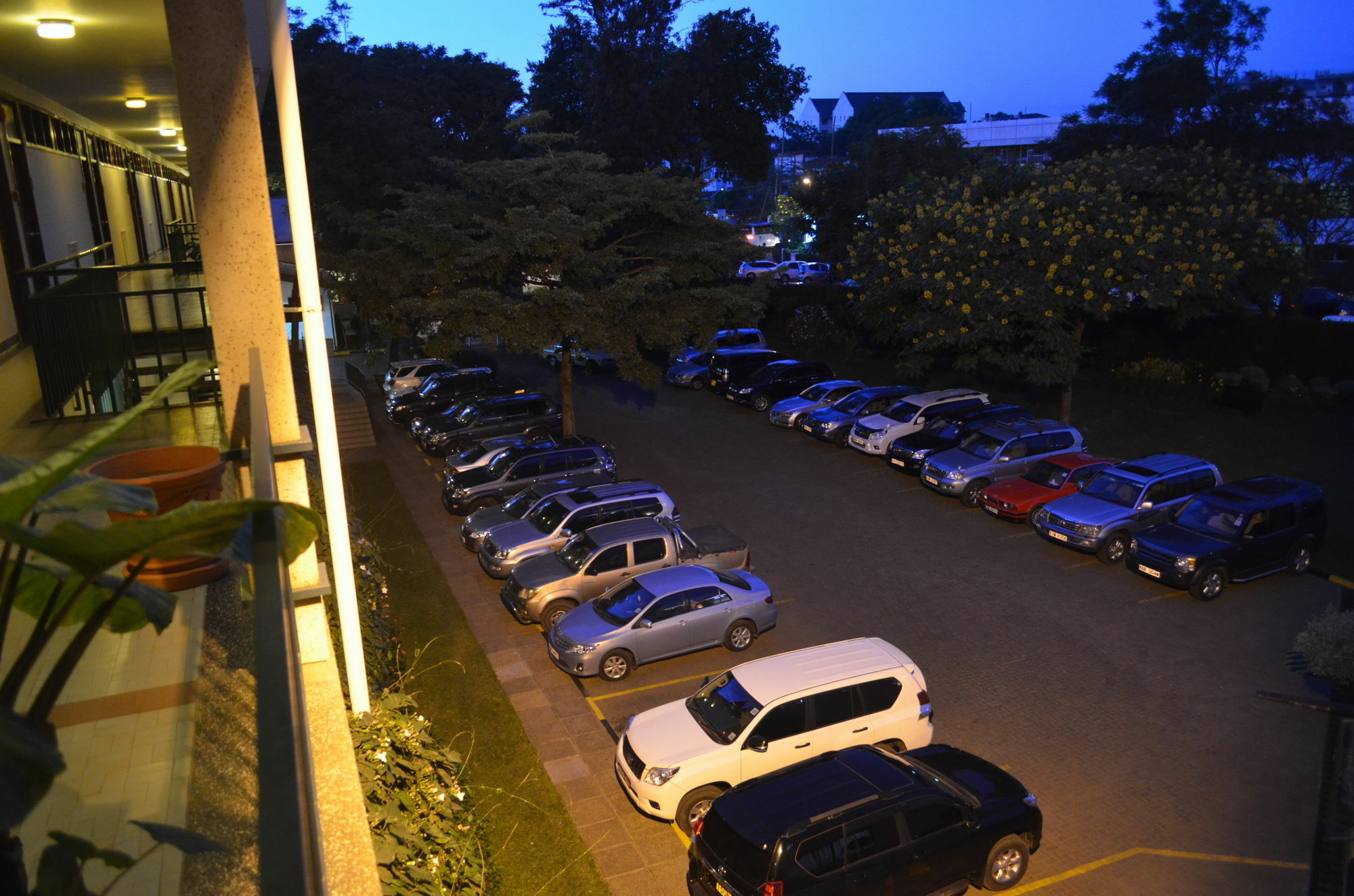 Hotel Jacaranda 3*