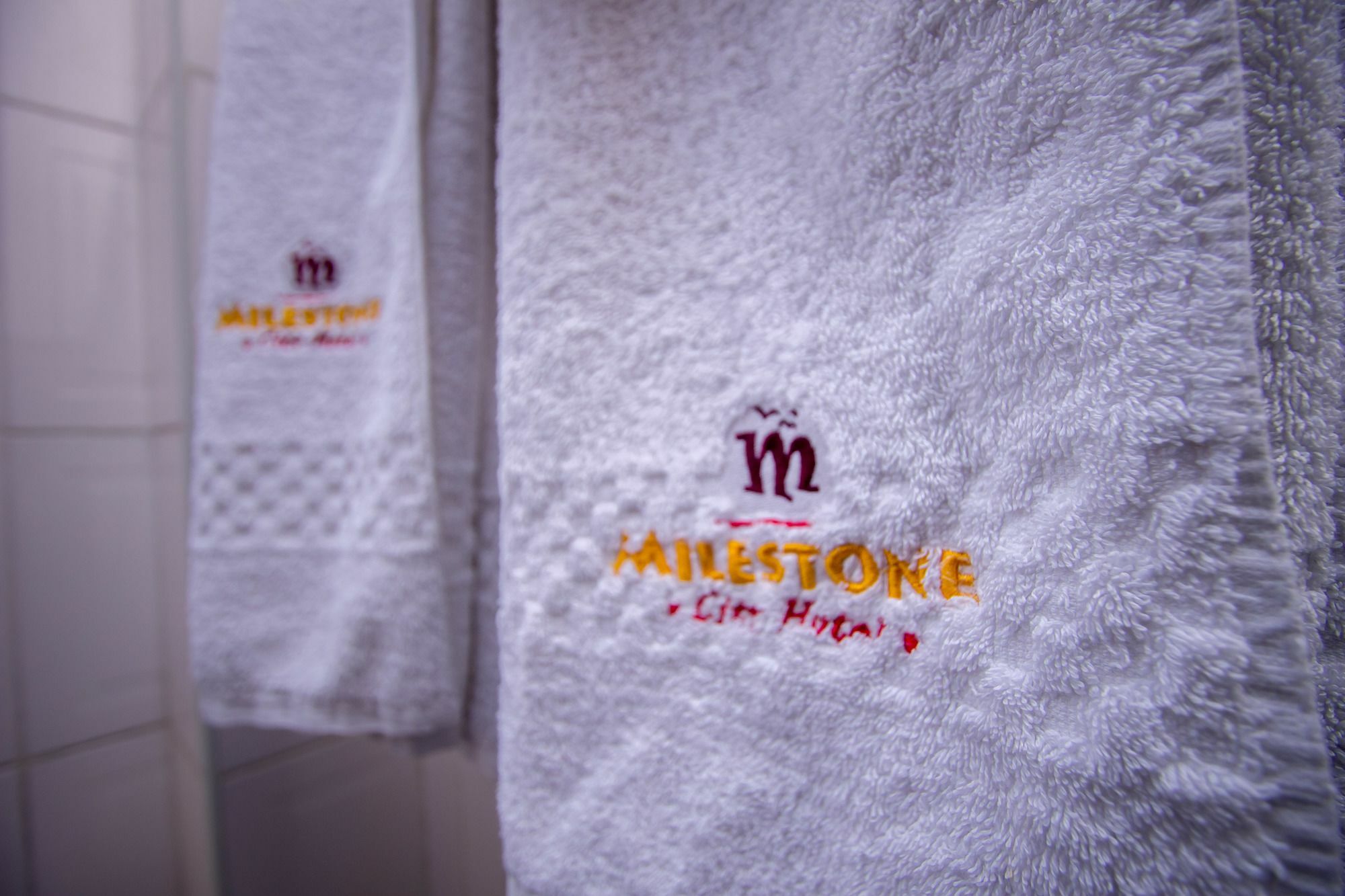 Milestone 2* Nairobi
