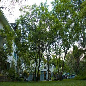 Hotel Jacaranda