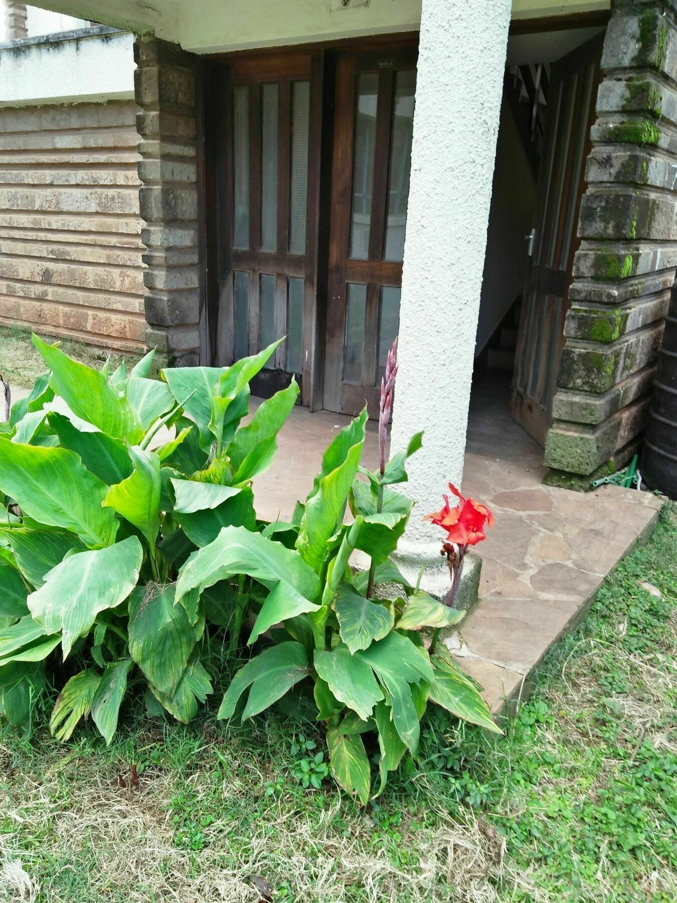 Carol's Cozy Place Nairobi