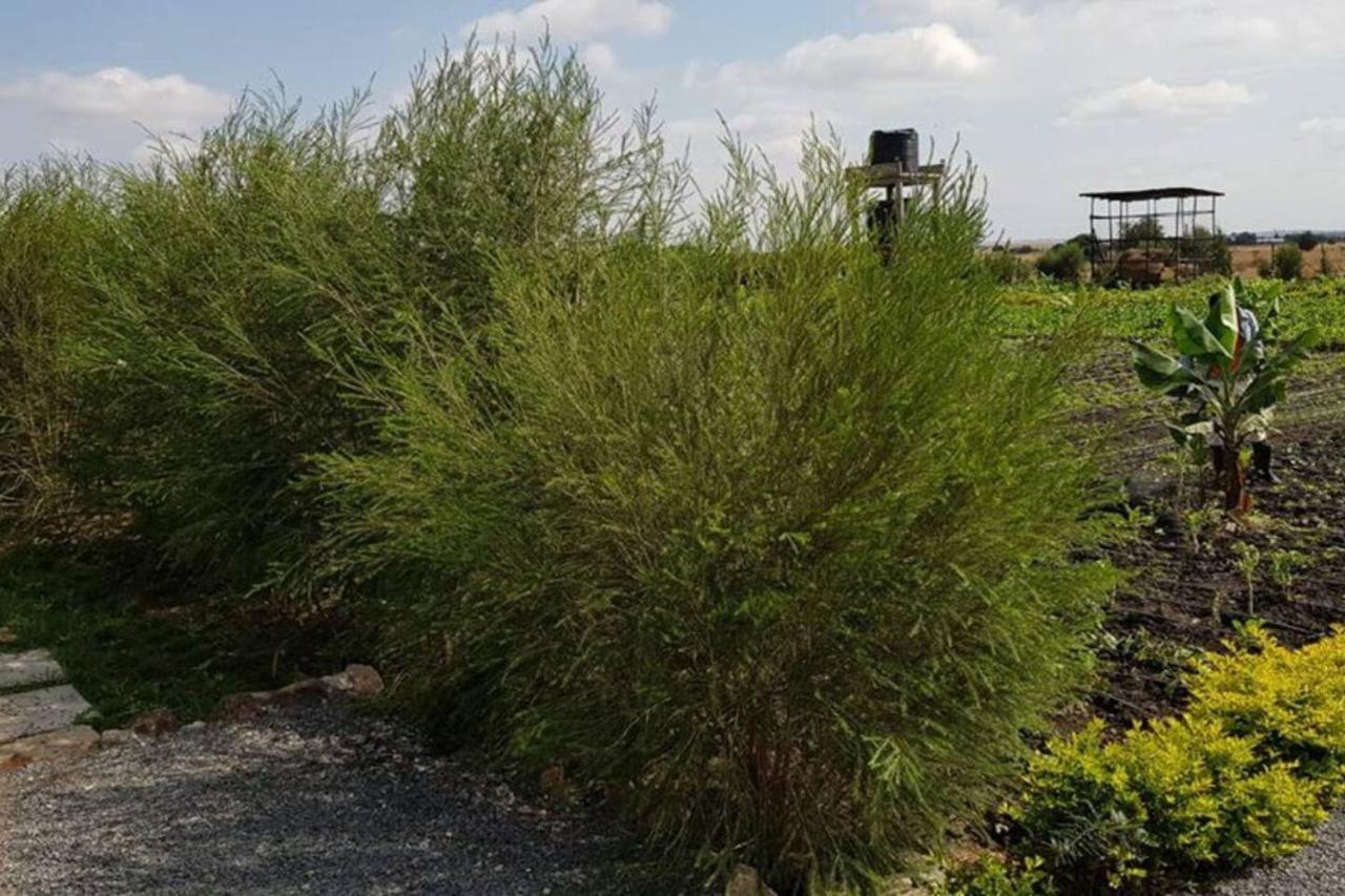 Holiday home Laviniah Farmhouse Nairobi