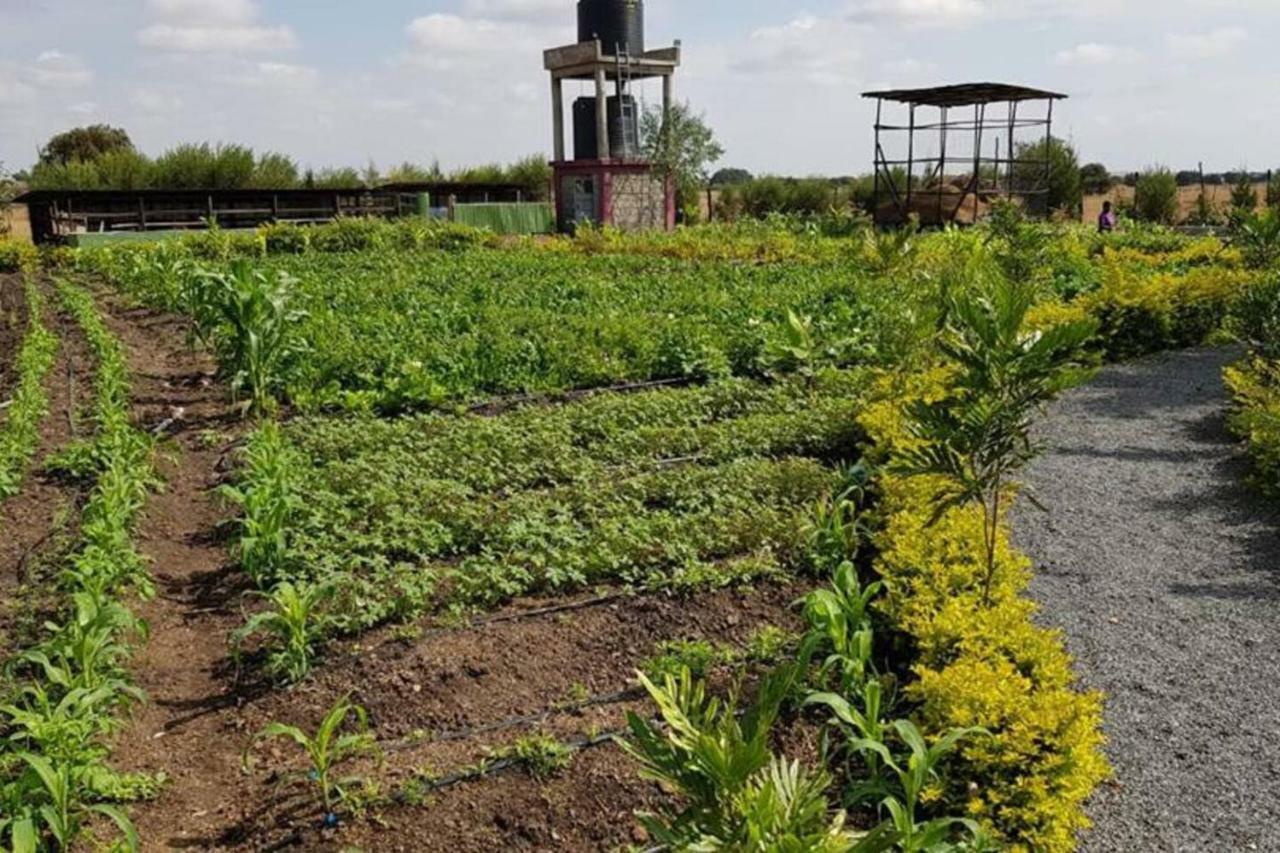Laviniah Farmhouse * Nairobi