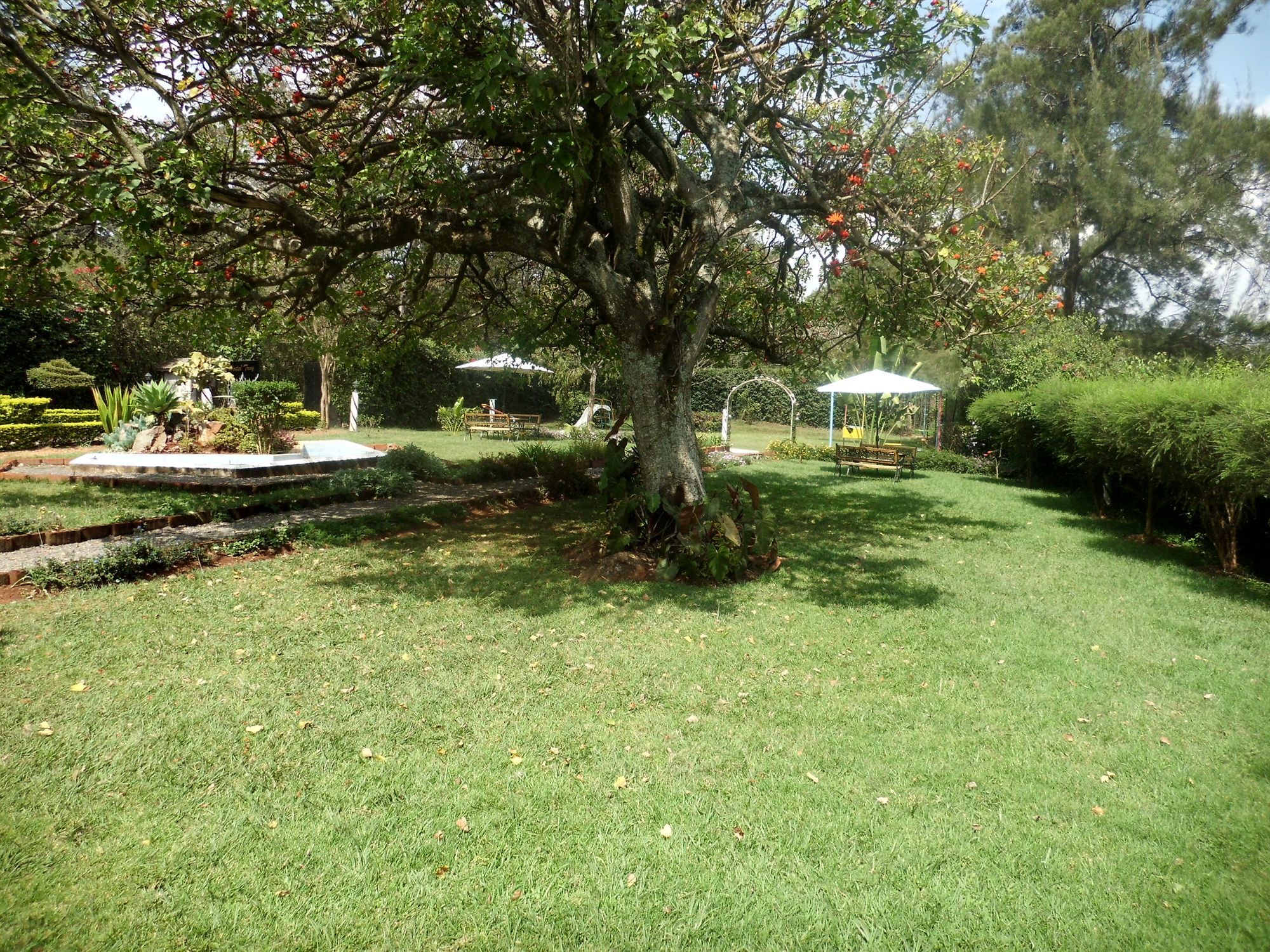 Troy Nairobi