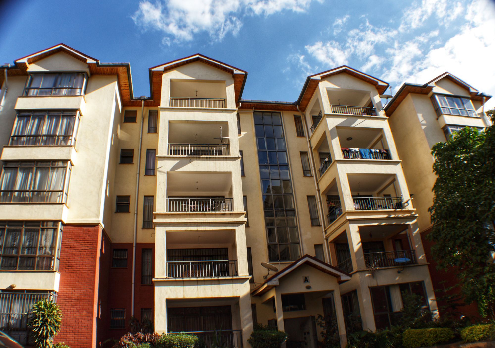 Bed & Breakfast Msafiri