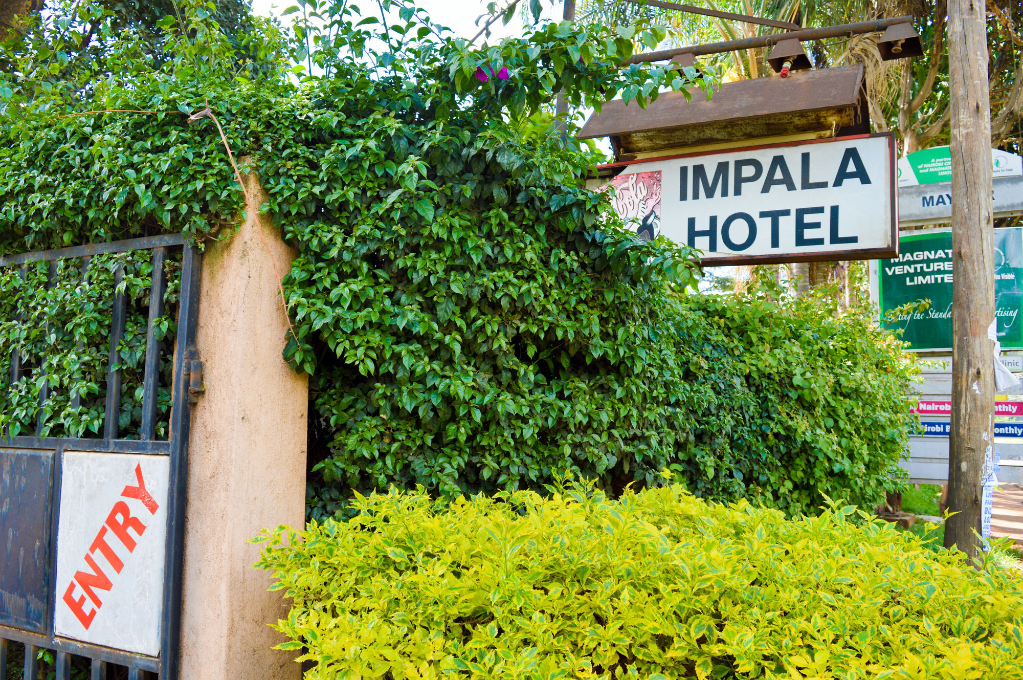 Hotel Impala Parklands