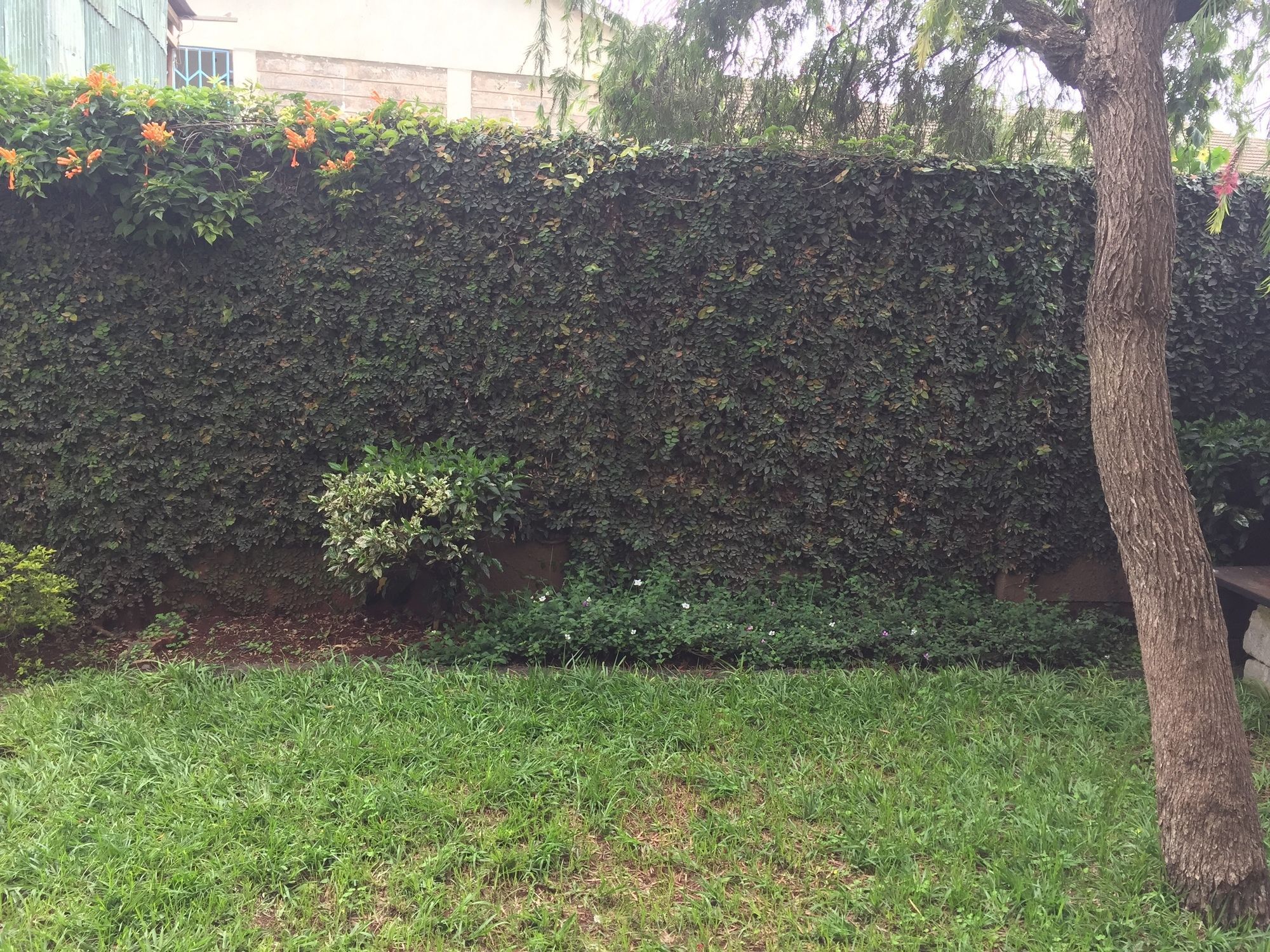 Riverbank 2* Nairobi
