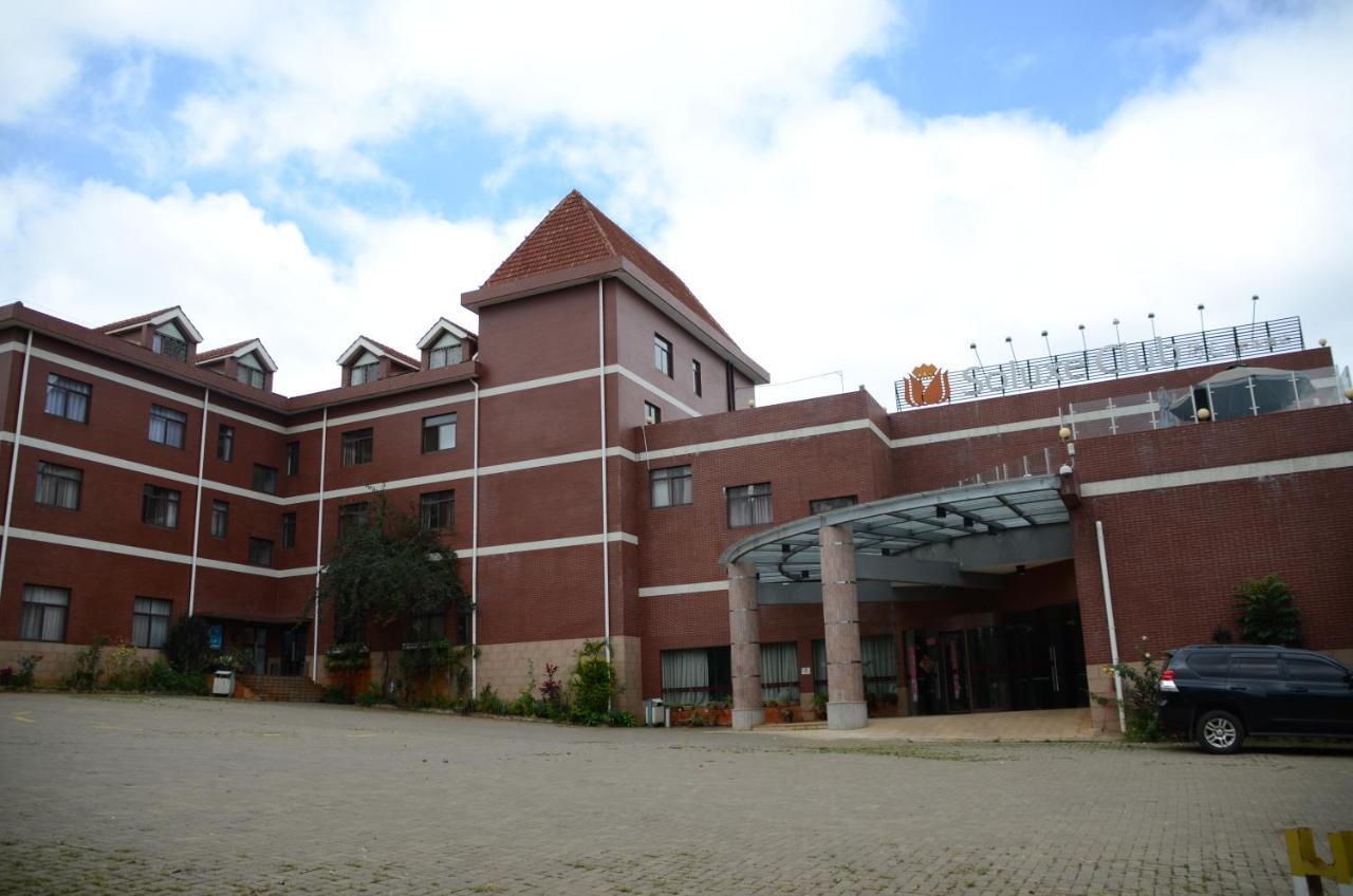 Soluxe Club International 3*