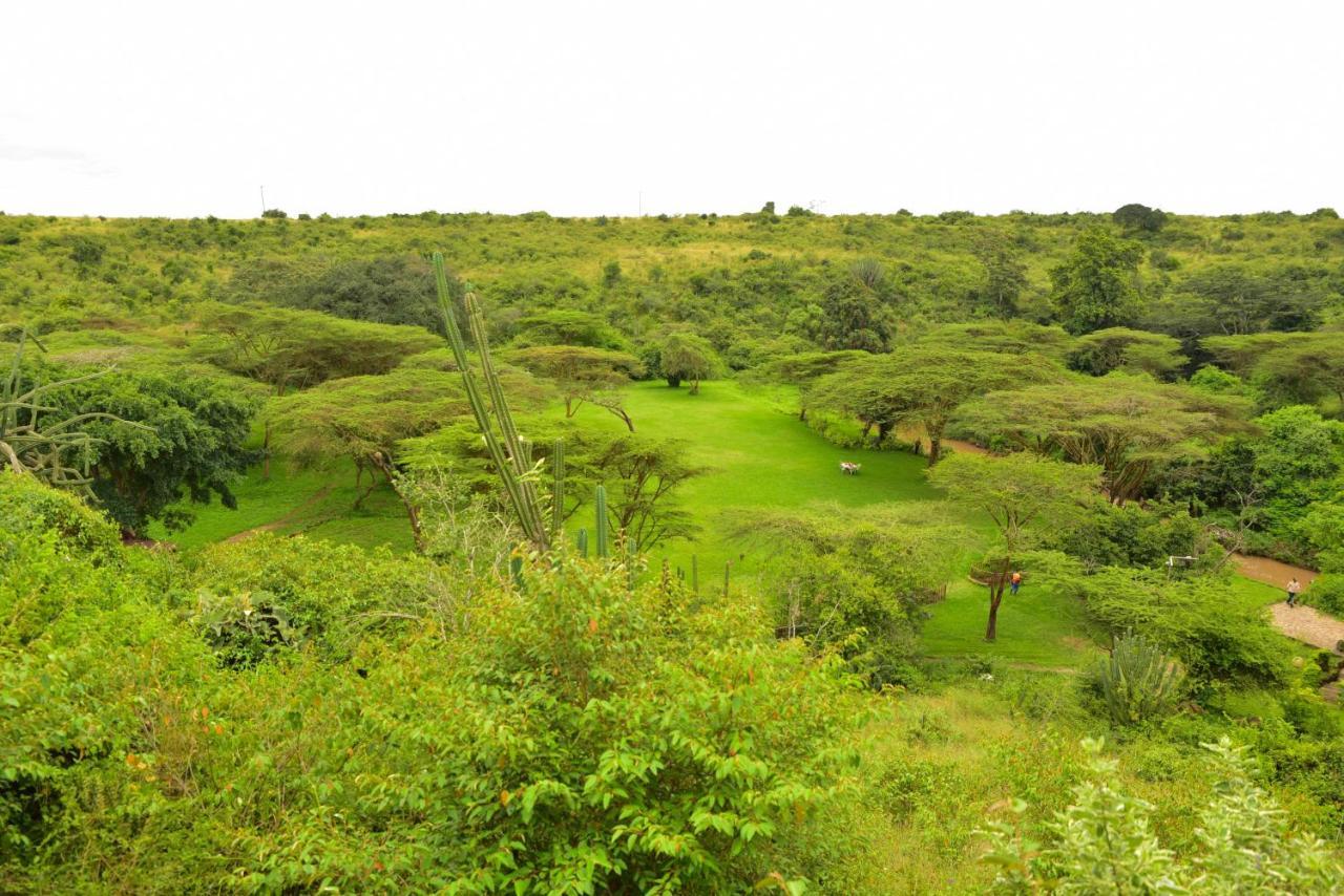 Masai Lodge Nairobi