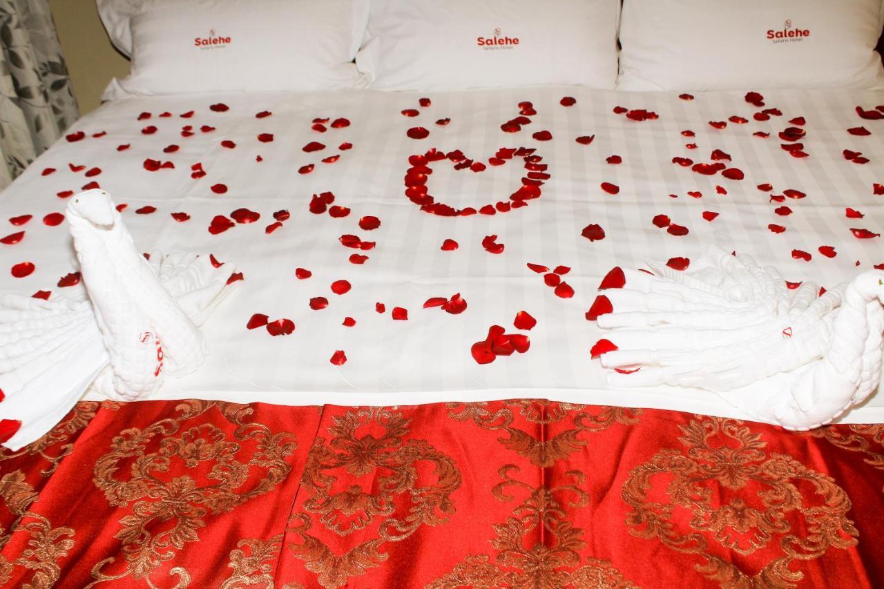 Hotel Salehe Safaris