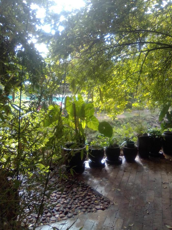 Homestay Casablanca Nairobi