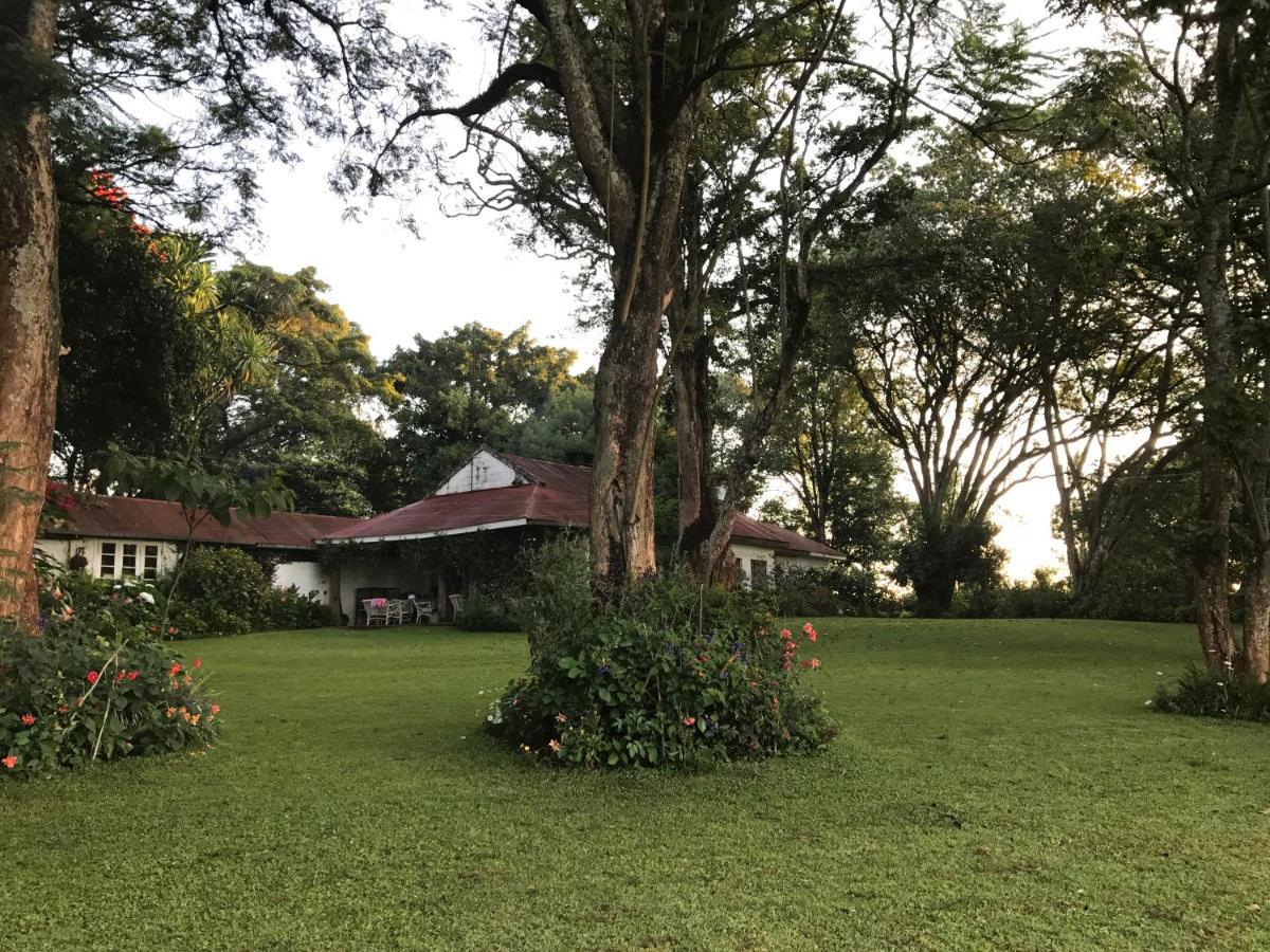 Kawamwaki Farm House & Studio * Nairobi