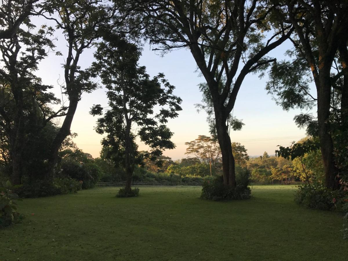 Kawamwaki Farm House & Studio Holiday home