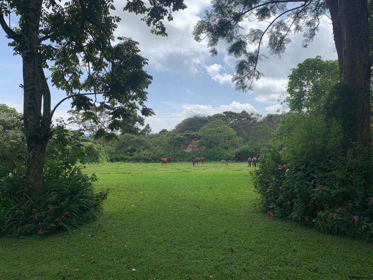 Kawamwaki Farm House & Studio Nairobi